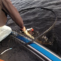 Drifter Predator Nets 10 Drifter Predator Nets -Fishing Promotion Store 4 72fa3e41 5d89 4aa6 8d9a 43d039aedab7