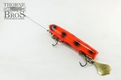 Smity Flaptail -Fishing Promotion Store IMG 0503 copy