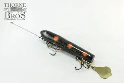 Smity Flaptail -Fishing Promotion Store IMG 0505 copy