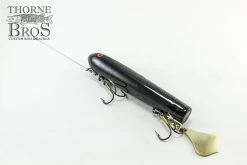 Smity Flaptail -Fishing Promotion Store IMG 0506 copy