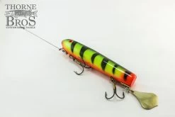 Smity Flaptail -Fishing Promotion Store IMG 0507 copy