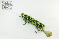 Smity Flaptail -Fishing Promotion Store IMG 0509 copy