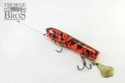 Smity Flaptail -Fishing Promotion Store IMG 0510 copy