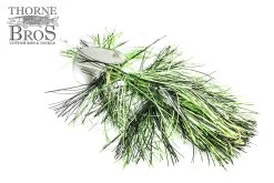 Musky Mayhem Trolling Girls -Fishing Promotion Store IMG 0538 copy