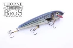 Phantom Xorsist -Fishing Promotion Store IMG 9008