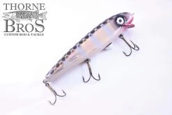 Phantom Xorsist -Fishing Promotion Store Phantom Xorsist 10 150848